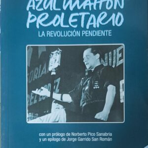 Azul mahón proletario. La revolución pendiente